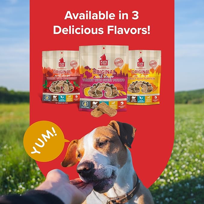 PLATO Original Real Strips Turkey & Sweet Potato 18oz, Natural (1442)