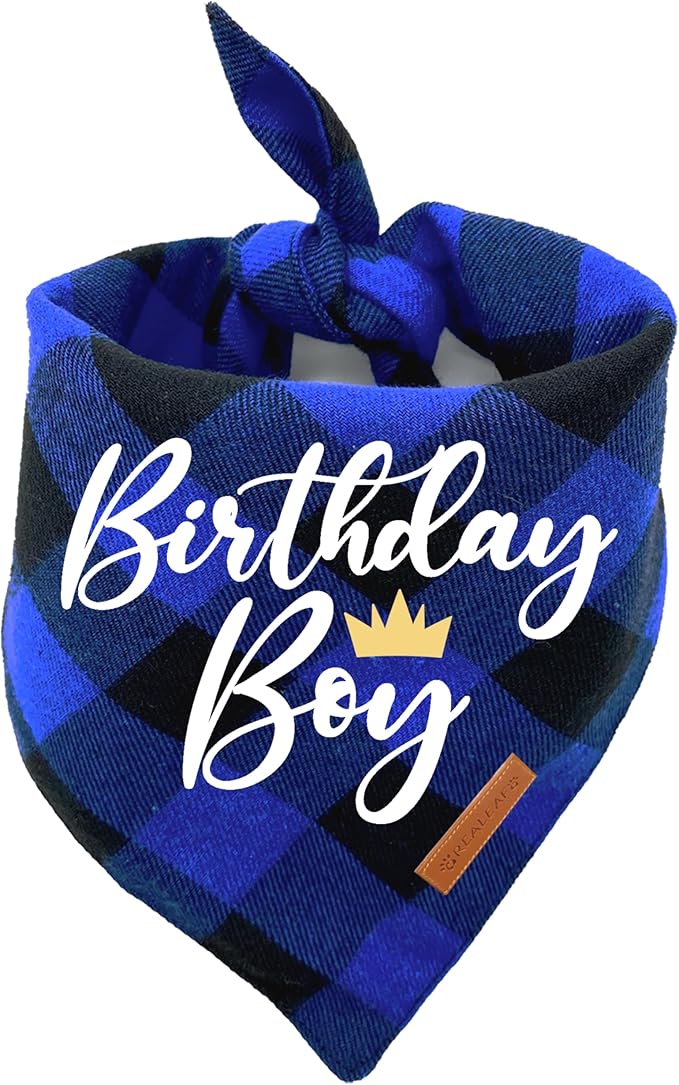 Realeaf Birthday Boy Dog Bandana, Dog Birthday Party Supplies,Premium Durable Fabric,Buffalo Bandana for Small and Medium Dogs Pets (Blue Paid, Small)