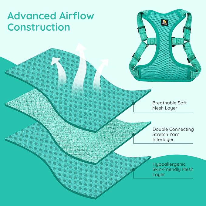 BELLA & PAL Adjustable Step-in Dog Harness, Puppy No-Pull Vest with Leash Set for XS/Small & Medium Dog, Breathable All-Weather Mesh, Reflective Strip, Secure Hook & Loop, Buckle Closure, Dual D-Rings