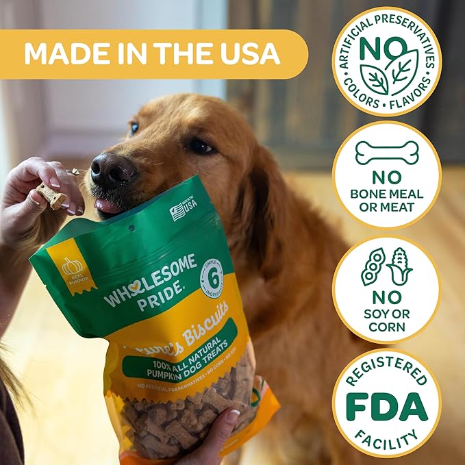 Wholesome Pride Nature’s Biscuits Pumpkin Dog Treats - Crunchy, Natural, Limited‑Ingredient, Grain‑Inclusive Recipe with Fiber‑Rich Pumpkin - Mini Bone‑Shaped Treats - 16oz Bag