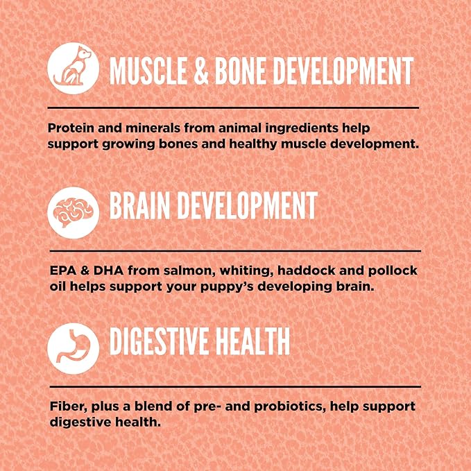 ORIJEN Grain Free High Protein Dry Dog Food Small Breed Puppy Recipe 4lb Bag