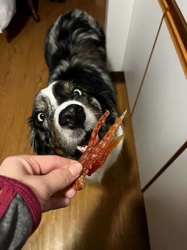 Rena's Recipe Chicken Fillet Slices 1 lb (4 oz X 4 Packs) Glucosamine & Chondroitin Added for Joing and Hip Health