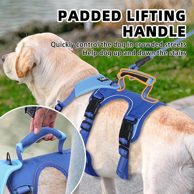 PUPTECK Escape Proof Dog Harness and Leash Set Upgraded No Pull Reflective Dog Vest with Lift Handle, Easy Control Pet Harness for Medium Large Dogs Training Walking Running, Blue, M