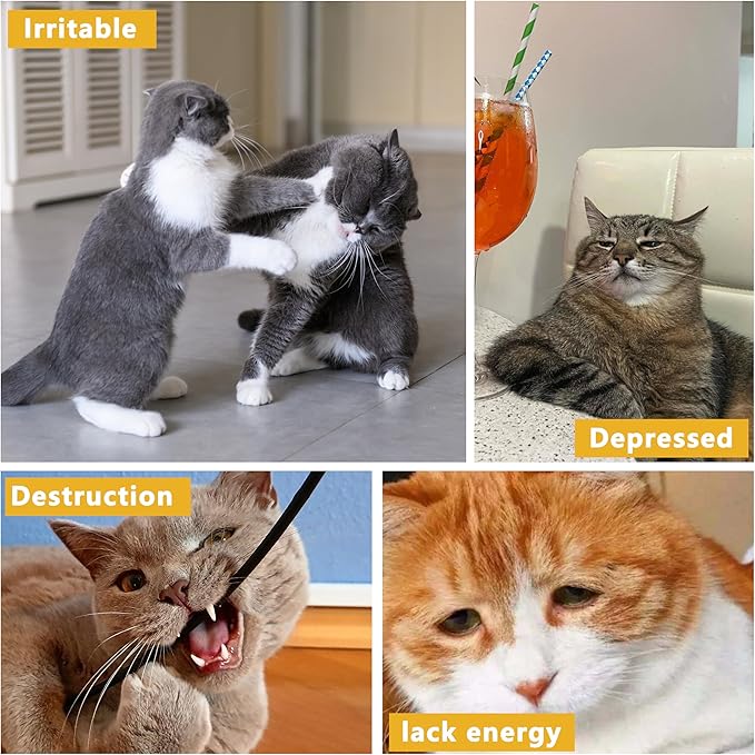 3 Pack Catnip Toys,Soft and Durable Cat Pillows Toys, Rich Color Catnip Toys,Indoor Interactive Cat Kicker Toy, Companion Toys for Cats (Pastel Set)