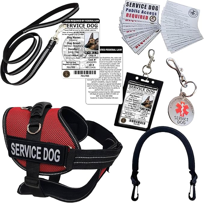 ActiveDogs.com Dog Harness Kit - XL Red, High Visibility Service Dog Vest with Handle, ID, ADA Cards, Medical Alert Keychain, Leash & Patches