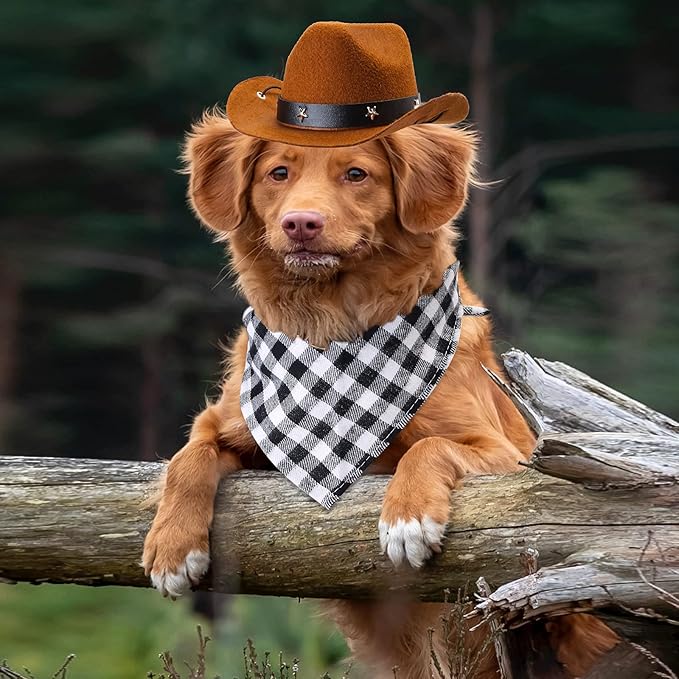 Yewong Pet Cowboy Costume Accessories - Dog Cat Pet Size Cowboy Hat and Bandana Scarf West Accessories for Puppy Kitten Party Festival and Daily Wearing Set of (Coffee Hat+Black Bib)