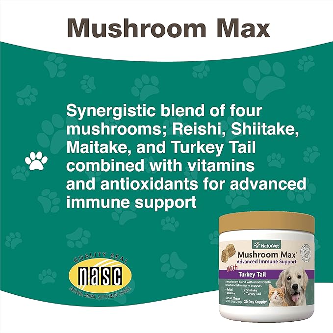 NaturVet Mushroom Max Advanced Immune Support Dog Supplement – Helps Strengthen Immunity, Overall Health for Dogs – Includes Shitake Mushrooms, Reishi, Turkey Tail – 60 Ct.