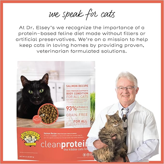 Dr. Elsey'S Cleanprotein Salmon Formula Dry Cat Food, 2 Pound (Pack of 1)