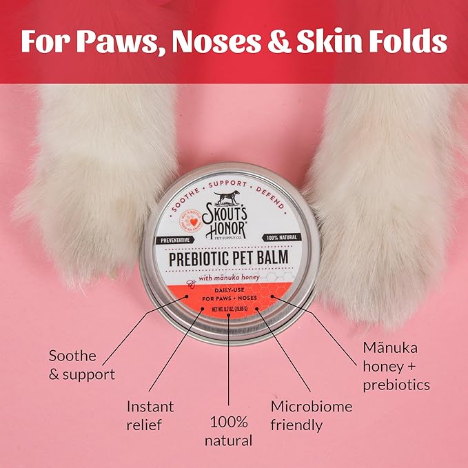 SKOUT'S HONOR Prebiotic Pet Balm - 100% Natural and Made w/Manuka Honey to Promote Healing of Your pet's paw Pads and Nose, Soothes Dry, Itchy Paws and Noses - Safe for Cats and Dogs, 0.7 oz, 3-Pack