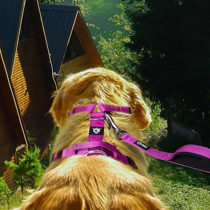 TSPRO Premium Heavy Duty Dog Harness, Adjustable Tactical Dog Harness for Large Dogs with Quick-Release Buckle and Comfortable Soft Handle for Outdoor Walking and Running (Purple M)