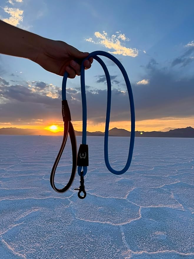ShawnCo Basecamp Rope Dog Leash- Premium, Durable Pet Leash with Soft Neoprene Padded, Reflective Handle for Small, Medium and Large Dogs (Oceanic Blue, 6 Feet)
