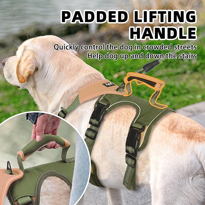 PUPTECK Escape Proof Dog Harness and Leash Set Upgraded No Pull Reflective Dog Vest with Lift Handle, Easy Control Pet Harness for Medium Large Dogs Training Walking Running, Green, L