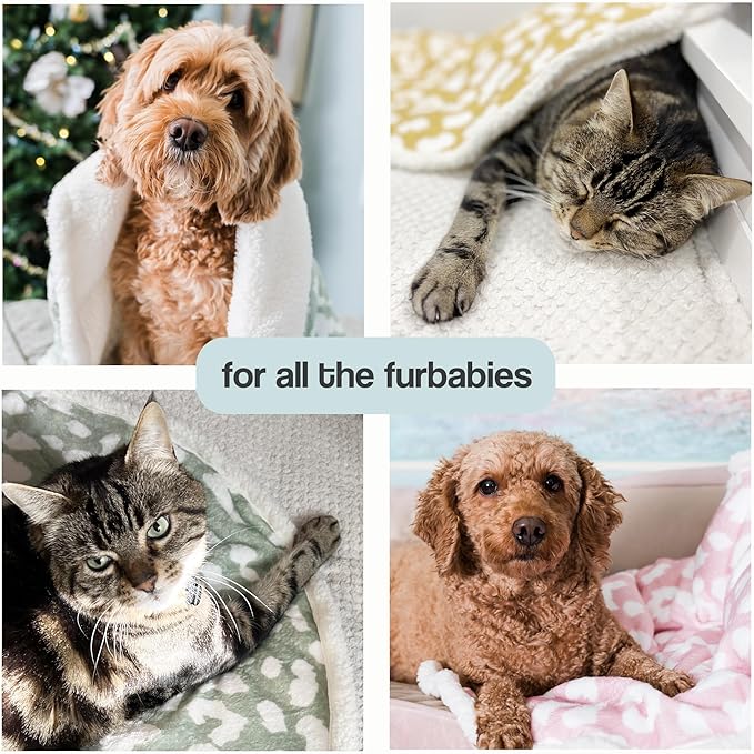 Cat Blanket for Indoor Cats – 29" Soft Sherpa Fleece Pet Throw, Washable Reversible Dog Blanket for Small Dogs, Cats, Kittens, Couch Bed Sofa Car Protector – Sage