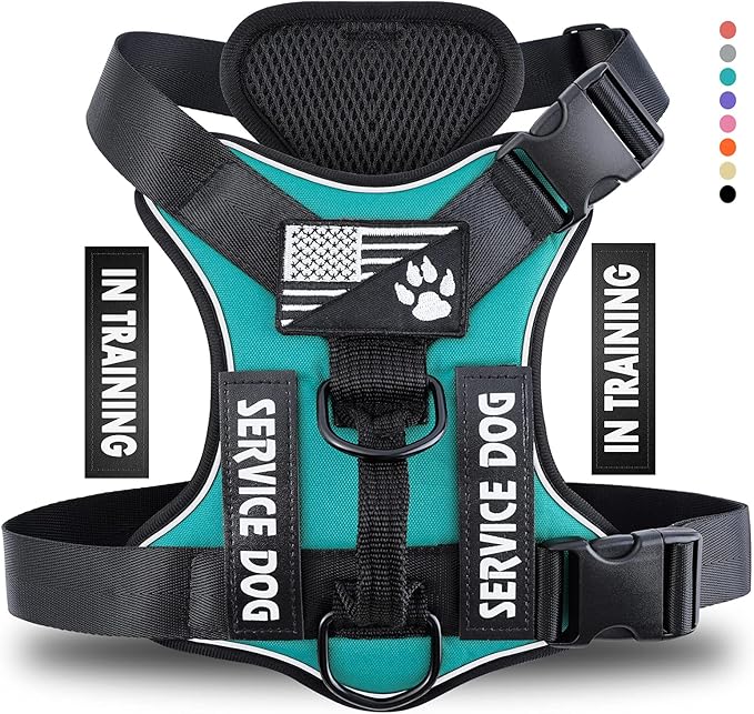 Demigreat Dog Service Harness, Reflective, Adjustable, Durable, Large, Turquoise, Solid