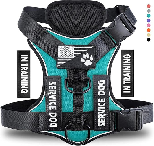 Demigreat Dog Service Harness, Reflective, Adjustable, Durable, Large, Turquoise, Solid