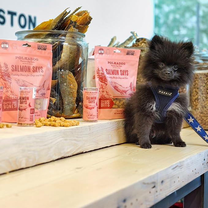 Polkadog Salmon Says Training Bits - Omega-3 Rich, Low Fat Healthy Dog Treat - Digestible, Vitamin & Mineral Packed Dog Snacks - Crunchy 3-Ingredient Treat, Ideal for Dogs with Allergies - 7oz