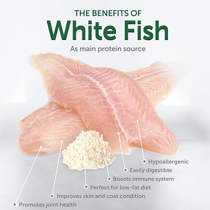 Nature's Protection Wet Dog Food Pouches for Small & Large Breed - High Protein, 24-Pack Soft Dog Food Toppers for Adult Light Coated Dogs (Superior Care - Tuna Fish, 2.46-oz)