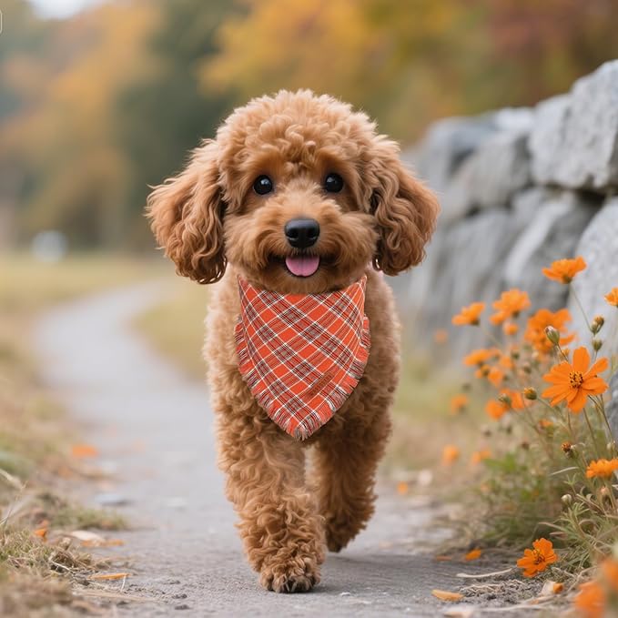ADOGGYGO Fall Dog Bandanas with Tassels Edges, Stylish Plaid Thanksgiving Halloween Scarf Bib, Orange Plaid Fall Bandanas for Small Dogs (Small)