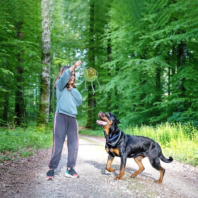 Eco Leather Super Sprout Natural and Tough Dog Toys - Long Lasting Chew Toys for Aggressive Chewers - Strong Dog Toy for Dogs and Puppy