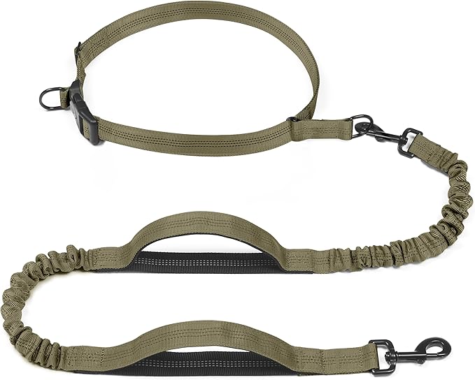 iYoShop Retractable Hands Free Dog Leash - Dual Handle Bungee Waist Leash for Small, Medium and Large Dogs (Medium/Large, 25-150 lbs, Military Green)