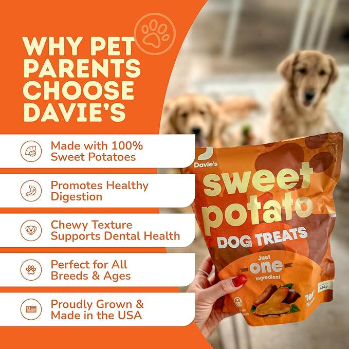 Davie's Sweet Potato Dog Treats - Healthy, Natural Dog Chews, Low Fat, 1 lb. Bag