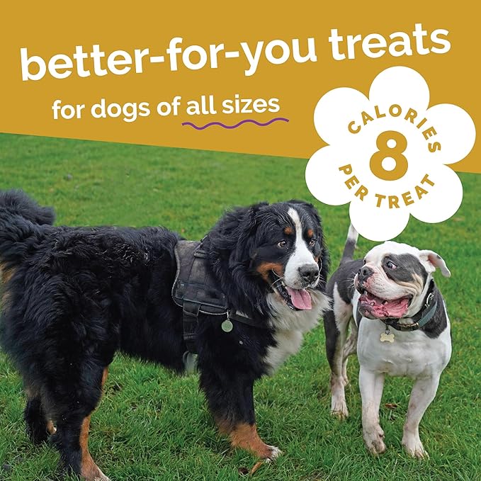 Fruitables Baked Dog Treats, Healthy Pumpkin Treat for Dogs, Low Calorie & Delicious, Free of Wheat, Corn and Soy, Made in The USA, Chicken and Cranberry Flavor, 7 oz