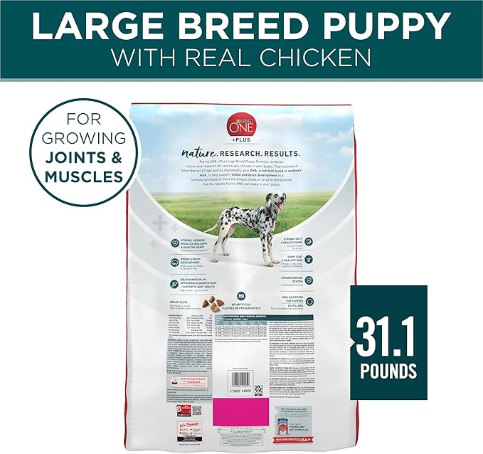 Purina ONE Plus Large Breed Puppy Food Dry Formula - 31.1 lb. Bag