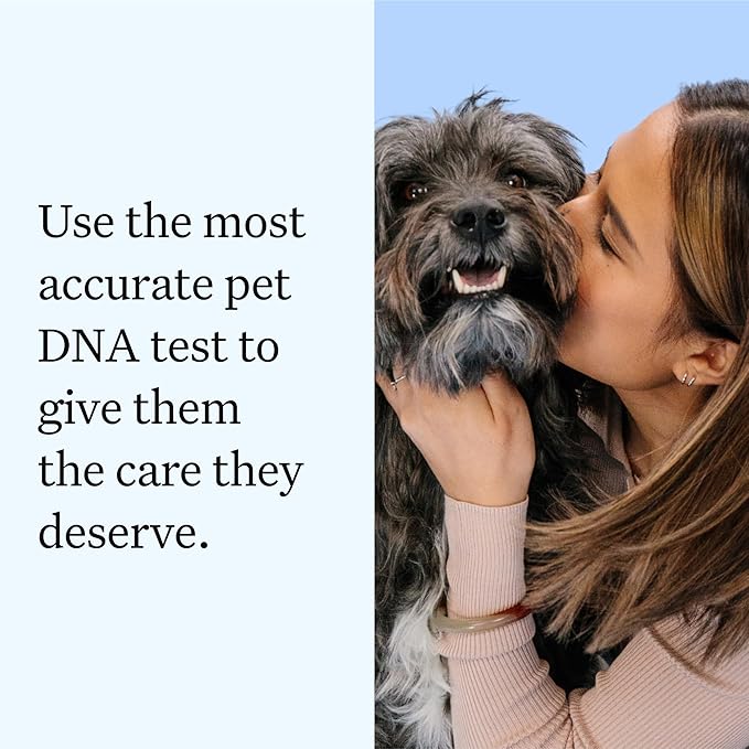 Wisdom Panel Essential Dog DNA Kit: Most Accurate Test for 365+ Breeds, 30 Genetic Health Conditions, 50+ Traits, Relatives, Ancestry - 2 Pack