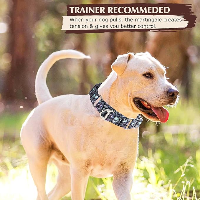 Martingale Collar for Dogs - Reflective Nylon with Padded Comfort & Quick Release Buckle - Skull Design, No Slip Choke Heavy Duty Collar for Safe Training, Walking & Nighttime Use S