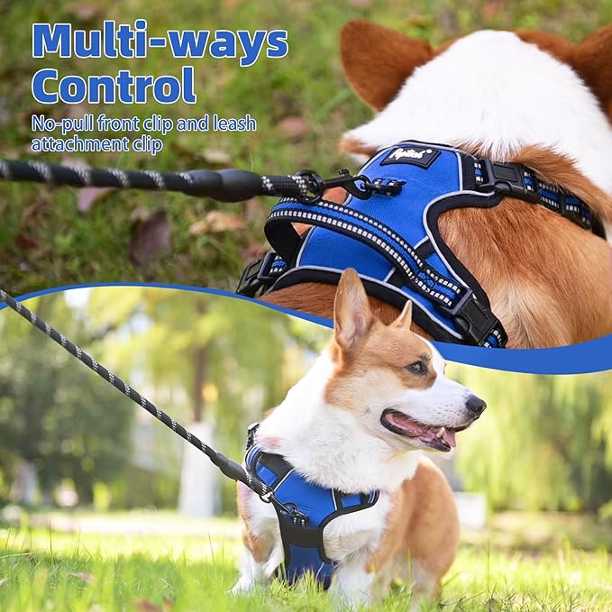 PUPTECK No Pull Dog Harness Small Sized, Adjustable Reflective Dog Harness with Handle Easy Control, Comfortable Soft Padded Pet Vest Harness for Small Dogs, Blue S