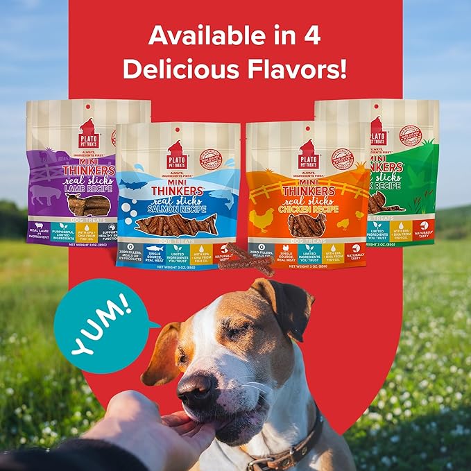 Plato Mini Thinkers Salmon Recipe 6oz, Natural (850002221367)