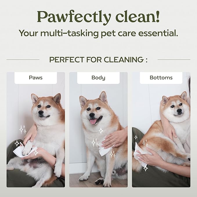 Paw Fume Dog Wipes 2 x 100 Count, Pet Wipes – Hypoallergenic & Gentle Dog Wipes for Eyes, Face, Butt, and Paws – Cleaning & Deodorizing, Grooming Tear Stain Wipes for Puppy, Adult Dogs & Cats