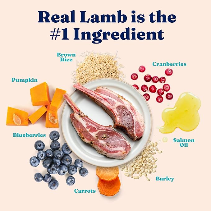 Solid Gold Dry Cat Food for Indoor Cats of All Ages - W/Lamb, Brown Rice, Barley, Probiotics & Fiber for Gut Health- Holistic & Healthy Cat Kibble for Kittens & Adults - Dry Kibble for Cats - 4 LB