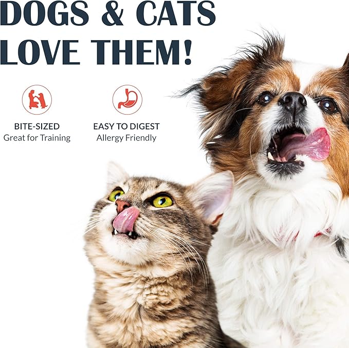 Freeze-Dried Raw Pet Treats for Dogs, Salmon Skin Chews (5 Count)…