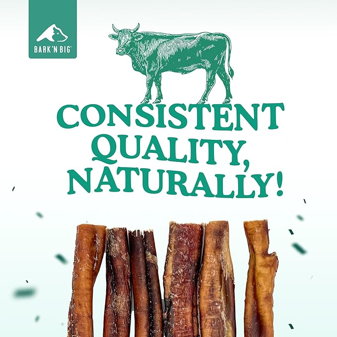BARK'N BIG Thick 6 Inch Odor Free Bully Sticks for Dogs Made in USA - Single Ingredient Dog Chew - Premium Pizzle Sticks - Beef Pizzles for Small and Medium Breeds - 8 Count