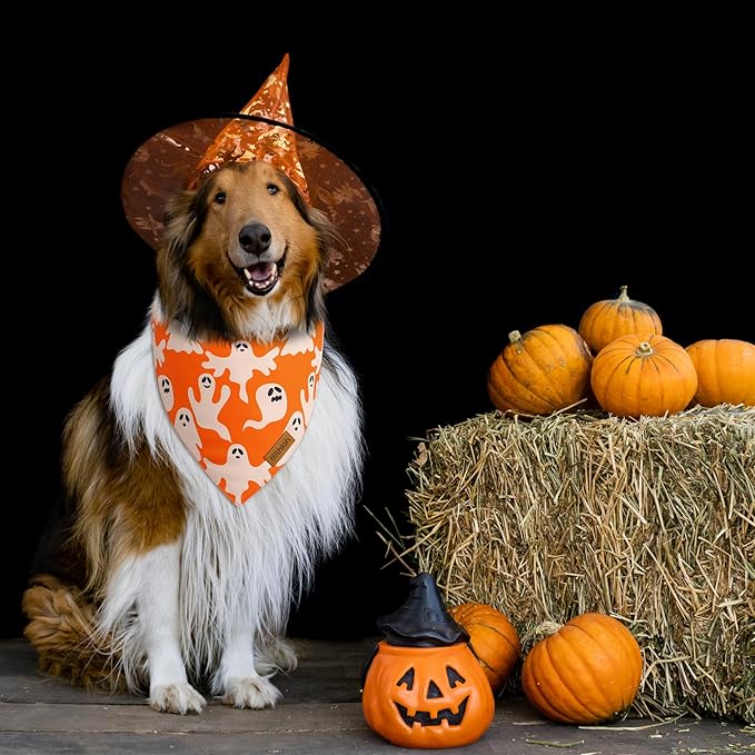Halloween Dog Bandanas - 2 Pack Fall Dog Bibs | Reversible Pumpkin and Ghost Pet Scarf for Boys and Girls | Premium Durable Fabric | Orange Dog Bandana for Large and Extra Large Dogs (X-Large)