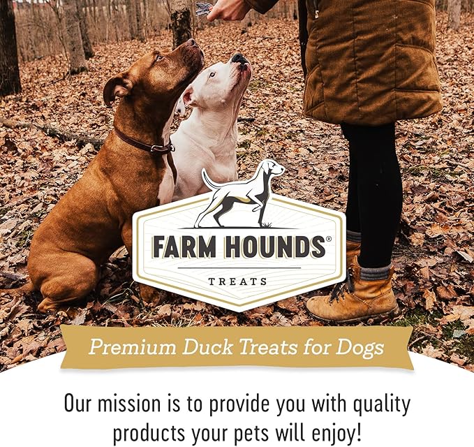 Farm Hounds - Duck Trainers - Premium Natural Jerky for Dogs - 100% Humanely Raised - Easy-Break - Great for Training & Treats - No Added Fillers - Made in USA - 4.5 oz - 1 Pack