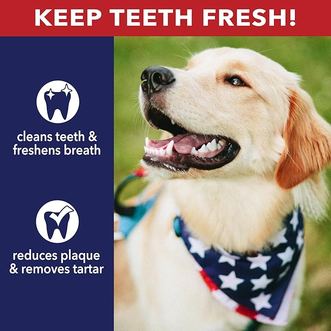 Pet Factory American Beefhide 21" Knotted Bone Dog Chew Treat - Chicken Flavor, 1 Count/1 Pack