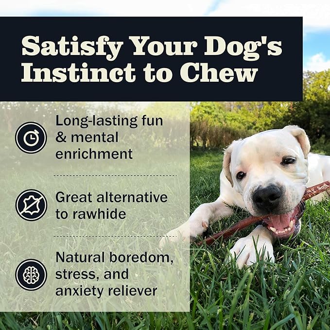 Redbarn Pet Products All Natural 8-12" Bully Sticks for Medium/Large Dogs - Healthy Long Lasting Chews Variety Party Pack - 100% Beef Single Ingredient Low Odor Rawhide Free - 1lb - Packaging May Vary