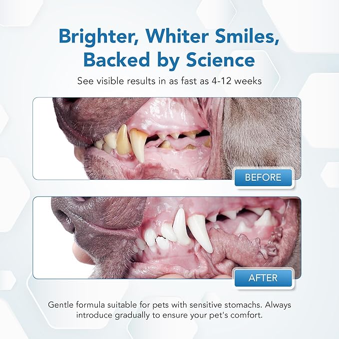 Dental Powder for Dogs - Plaque Control & Tartar Remover, Breath Freshener with Probiotics, Vitamins & Natural Extracts - Perio Support Powder for Dogs, 2.82 oz (80g)