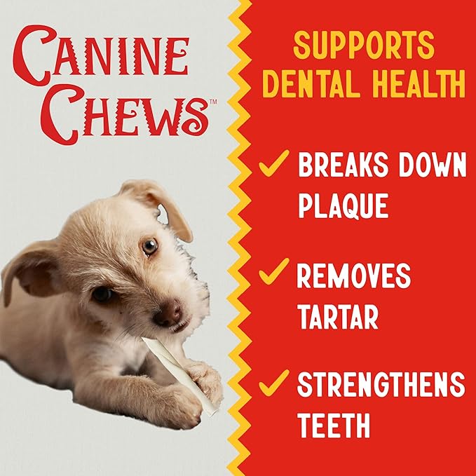 Canine Chews Small Rawhide Twists for Dogs - Pack of 100 5" Dog Treat Stick Twist Beef Dental Chew Dog Toy for Small Dogs and Puppies - Natural Dog Rawhide Sticks