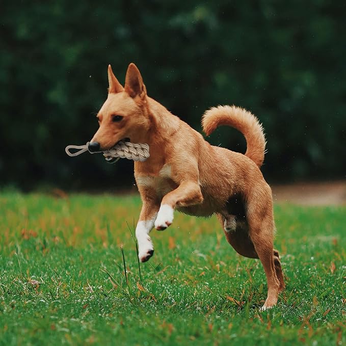 Dog Chew Toys-Puppy Tug Toys-Natural Cotton Rope-Pets Teething Interactive Knots for Small Medium Dog Mutt (Set of 4)