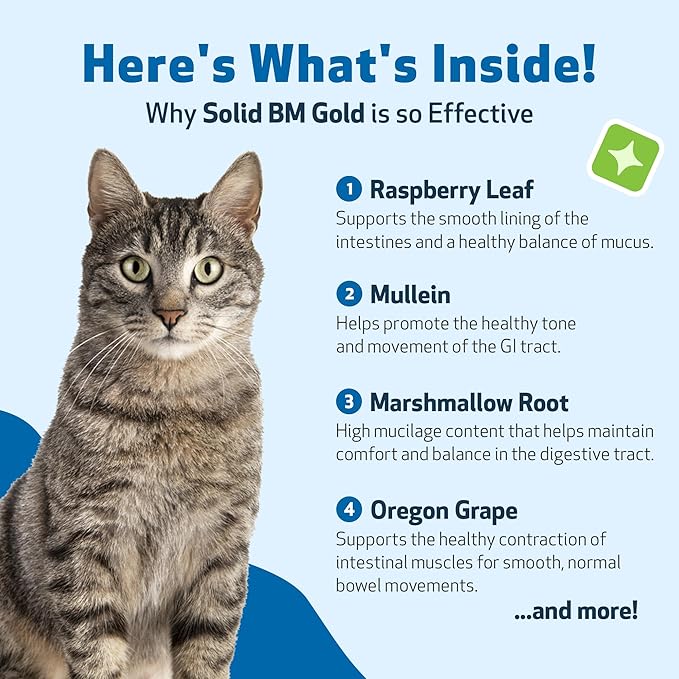 Pet Wellbeing Solid BM Gold for Cats - Supports Healthy Digestive Function, Solid Stools, Normal Bowel Movements, Bayberry- Veterinarian-Formulated Herbal Supplement 2 oz (59 ml)