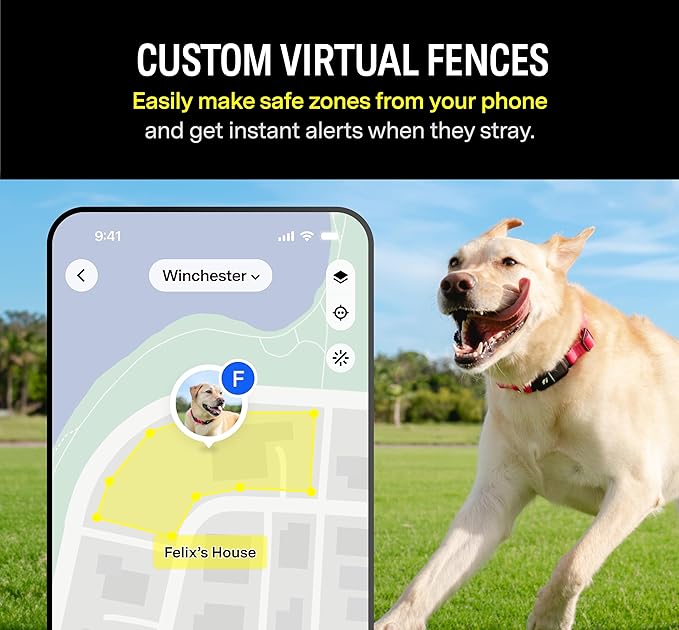 Fi Series 3 Smart Dog Collar - GPS Dog Tracker and Activity & Health Monitor, Waterproof, LED Light, Escape Alerts, Nationwide Coverage [Free 1 Year Membership] (Yellow, X Large)