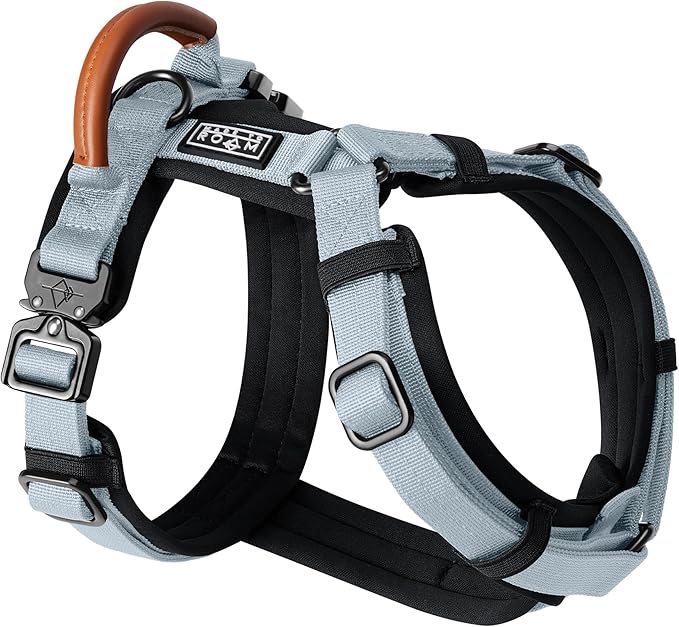 MADE TO ROAM Premium Explorer Harness - Y-Shaped Dog Harness with Adjustable Durable Nylon, Soft Padding, Metal Buckles and Leather Handle for Small, Medium, Large Dogs (Alaska Daybreak, Size 6)