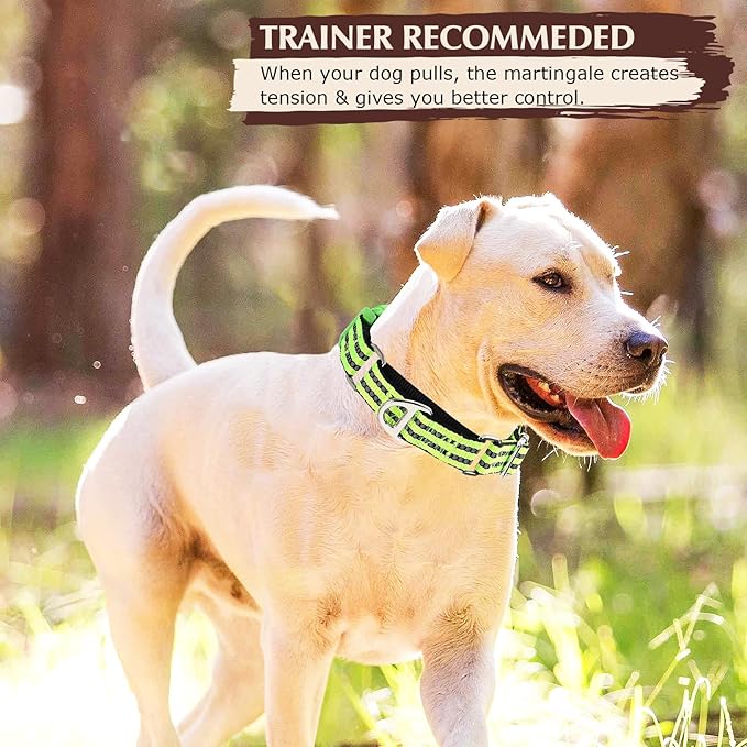 Martingale Collar for Dogs -Reflective Nylon No Slip Choke with Padded Comfort Heavy Duty Dog Collar with Quick Release Buckle for Training, Walking & Overexcited Pulling Green L