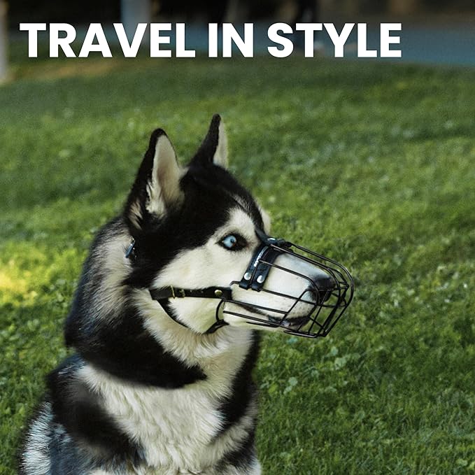 BRONZEDOG Dog Muzzle Adjustable Durable PVC Wire Basket for Large and Extra Large Dogs with Leather Straps Breathable, Drinkable, Training, Prevents Biting (PVC, Husky & Doberman)