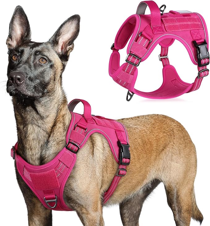 rabbitgoo Tactical Dog Harness for Large Dogs, No Pull Military Service Vest with Handle & Molle, Easy Control for Training Walking, Adjustable Reflective Straps, Rose Red, L