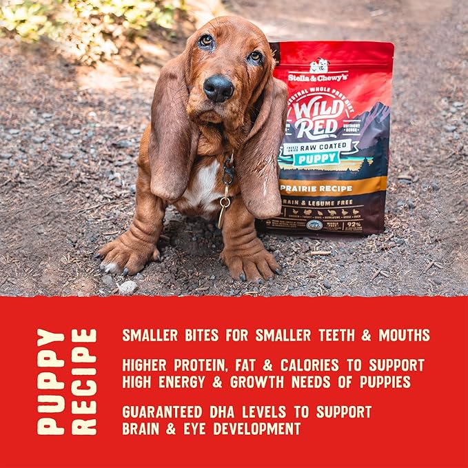 Stella & Chewy's Wild Red Dry Dog Food Raw Coated High Protein Grain & Legume Free Puppy Prairie Recipe, 21 lb. Bag