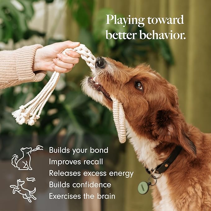 LAY LO Natural, Non-Toxic Cotton Rope Toys for Small and Medium Dogs | 2-Pack | Includes Live Support with Dog Trainer | Durable & Eco-Friendly | Unique Boho Designs with Handle | Puppy Teething Toy